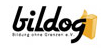bildog logo